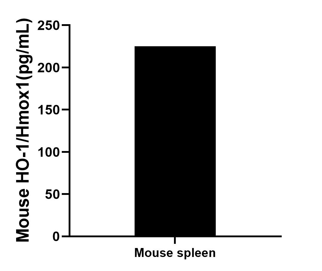 Sample test of MP00318-3